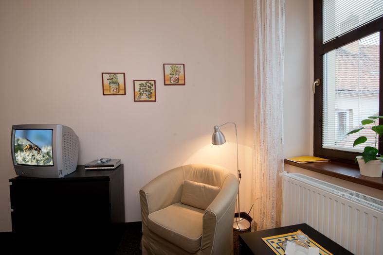 Hotel U Zlateho Byka Pisek  Luaran gambar